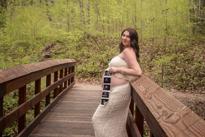 Harrietta Forest Bridge - Image 1