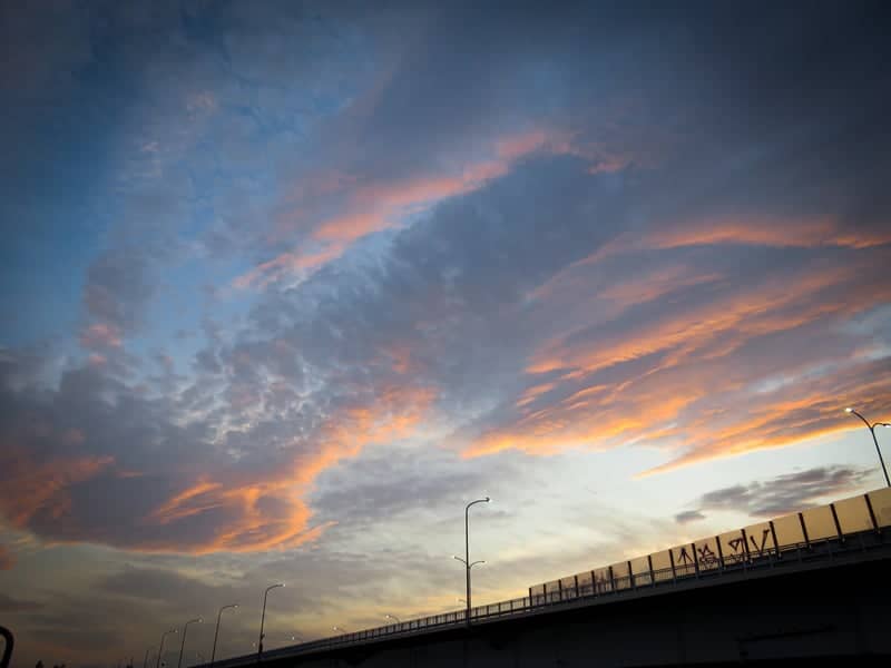 Futako-Tamagawa Riverbank - Image 1