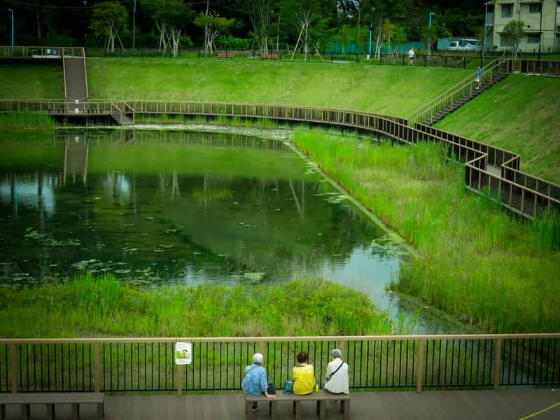 Wadabori Park Pond - Image 1