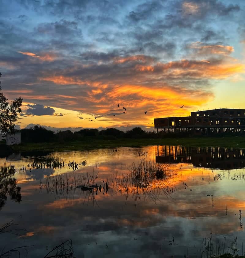 Bizerte Wetlands Sunset - Image 1