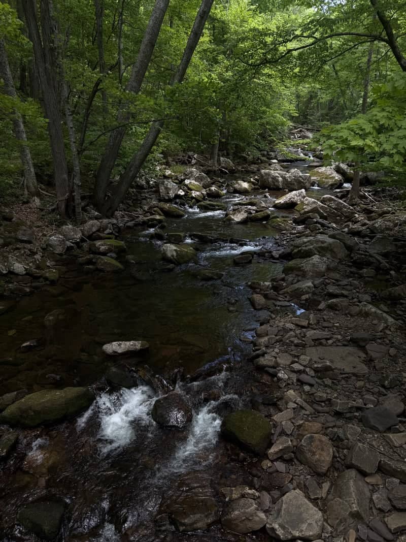 Cascades Falls Trail - Image 1