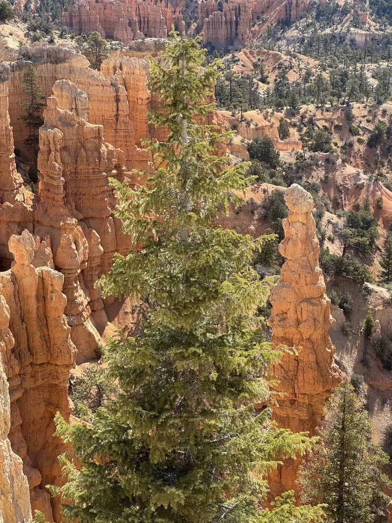 Bryce Canyon National Park - Image 1