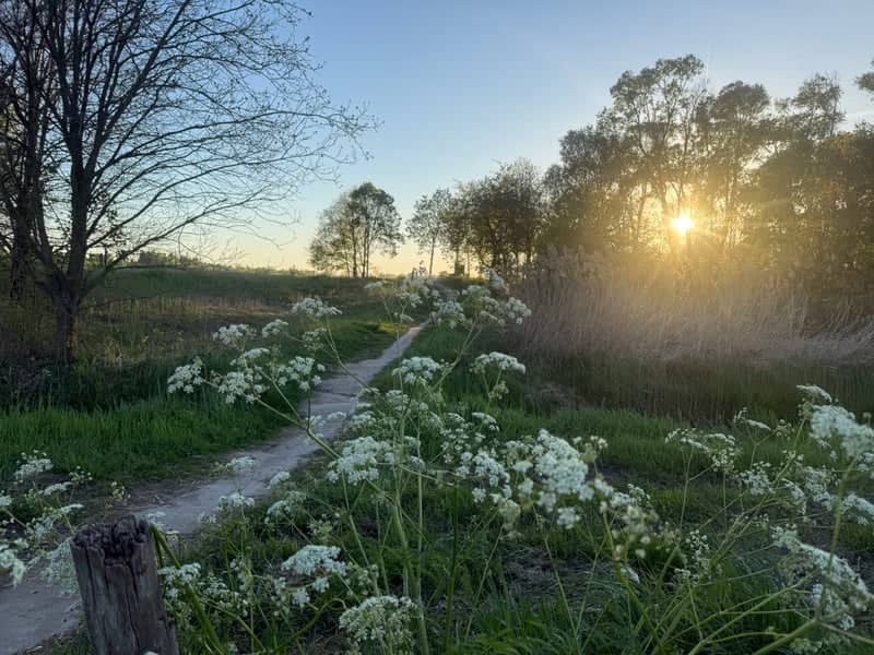 Logtsebaan Countryside Path - Image 1