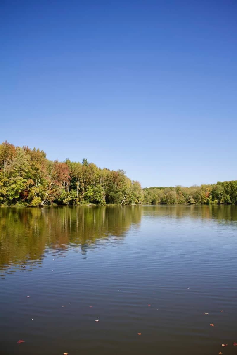 Stonelick Lake State Park - Image 1