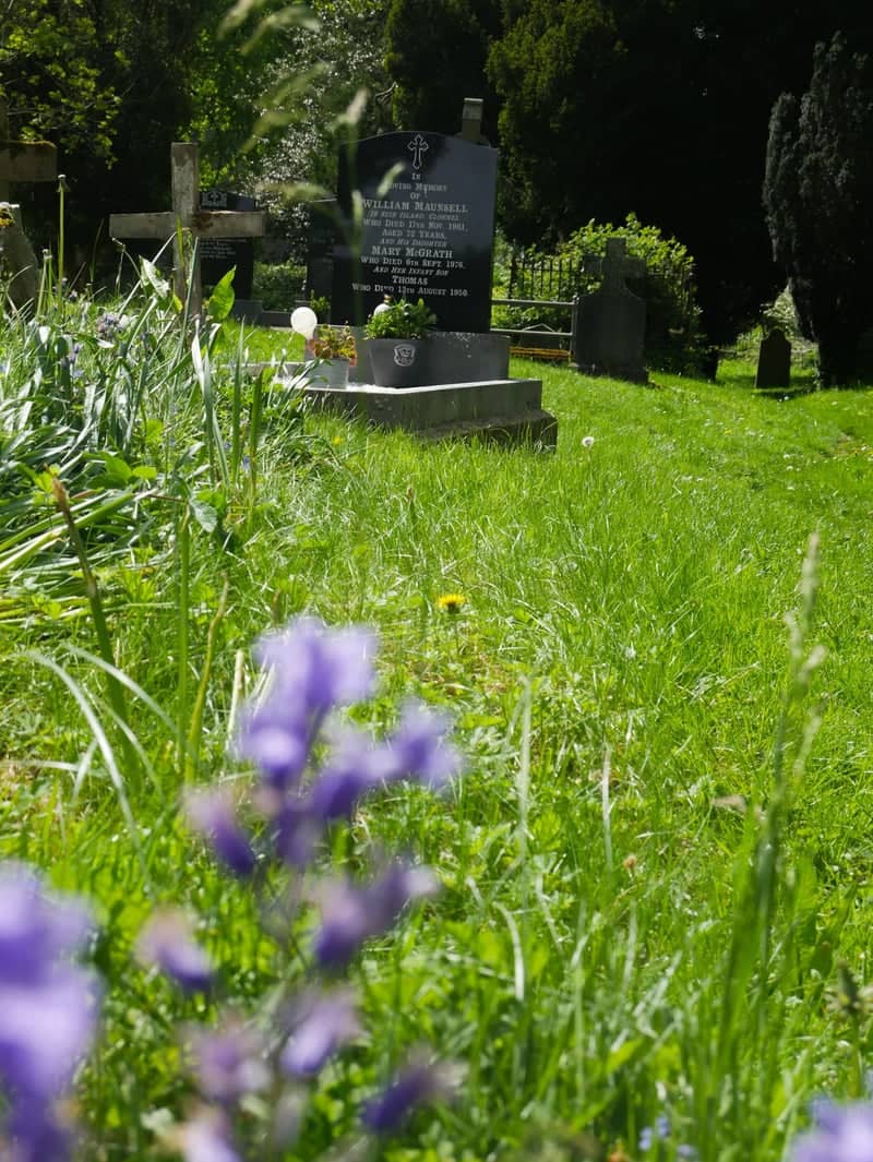 Inishlounaght Graveyard - Image 1