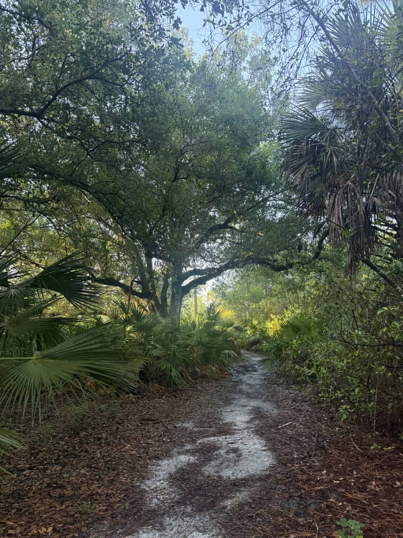 Yellow Fever Creek Preserve Trail - Image 1