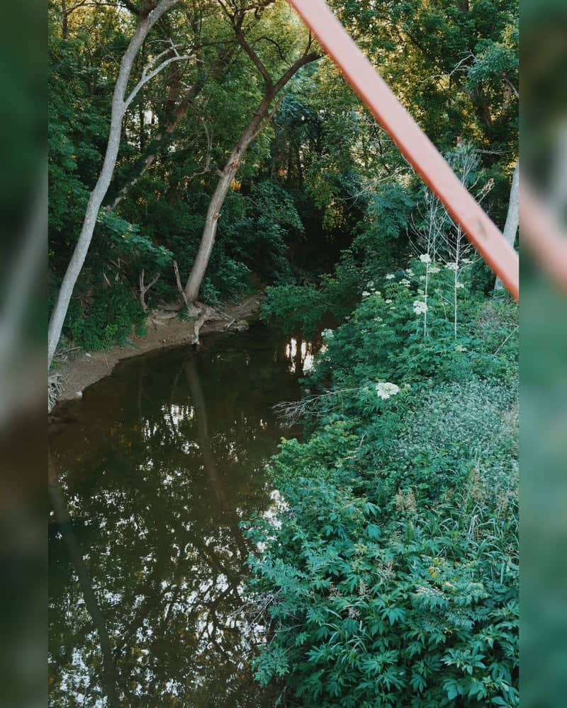 Waxahachie Creek at South College Street - Image 1