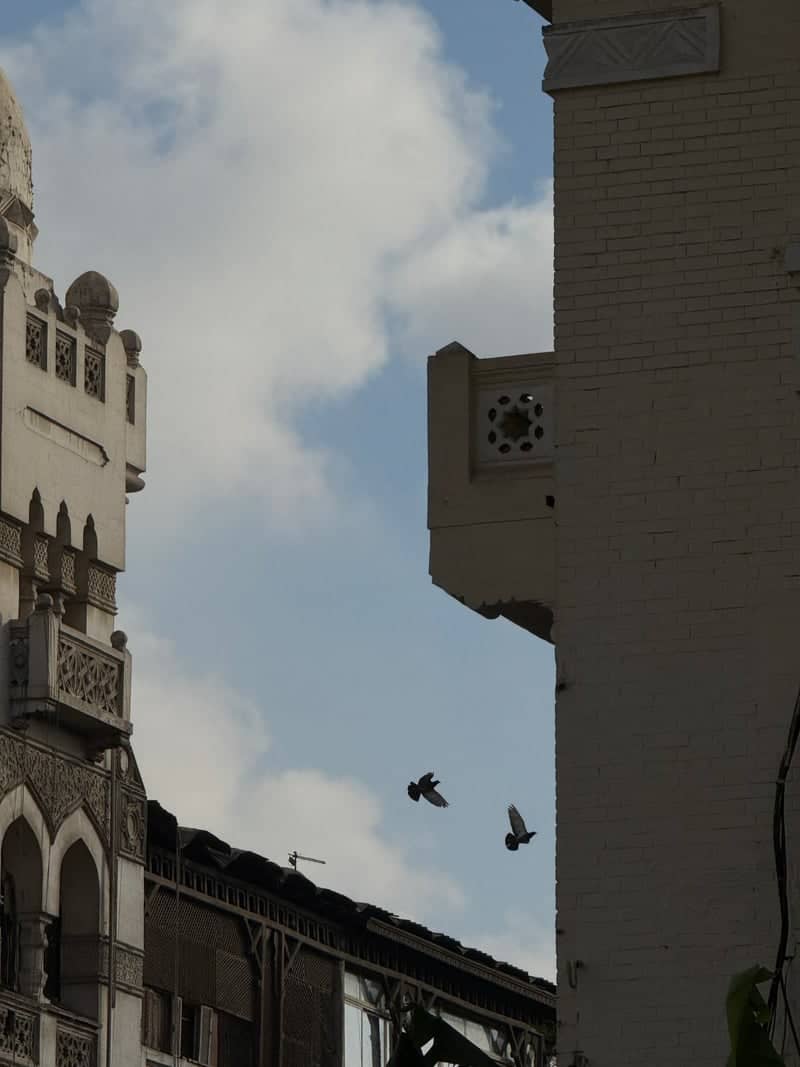Heliopolis Historic Architecture - Image 1