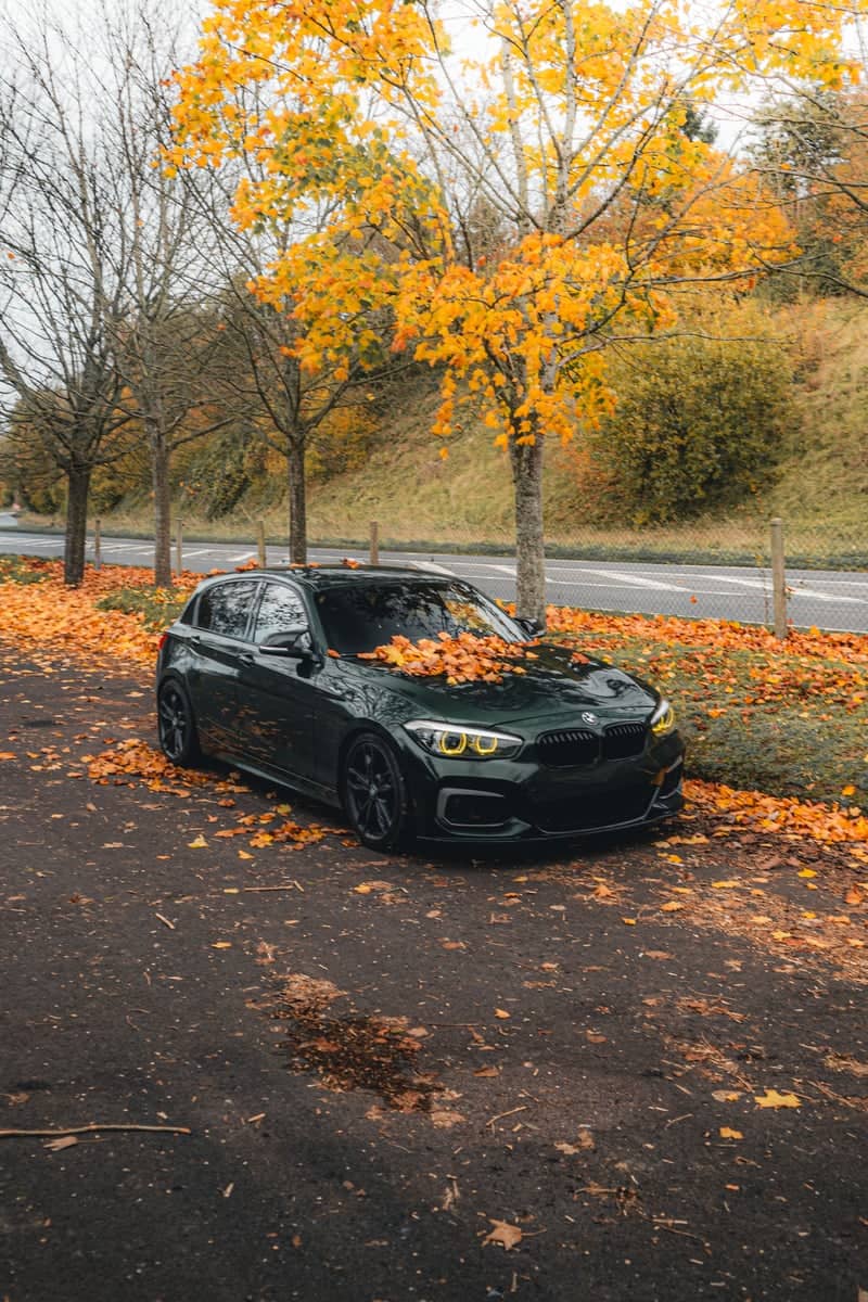 Autumn Roadside in Tinchebray-Bocage - Image 1