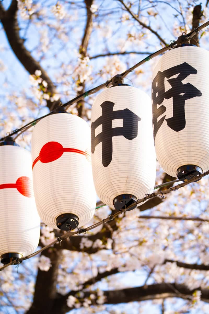Nakano Cherry Blossom Festival - Image 1