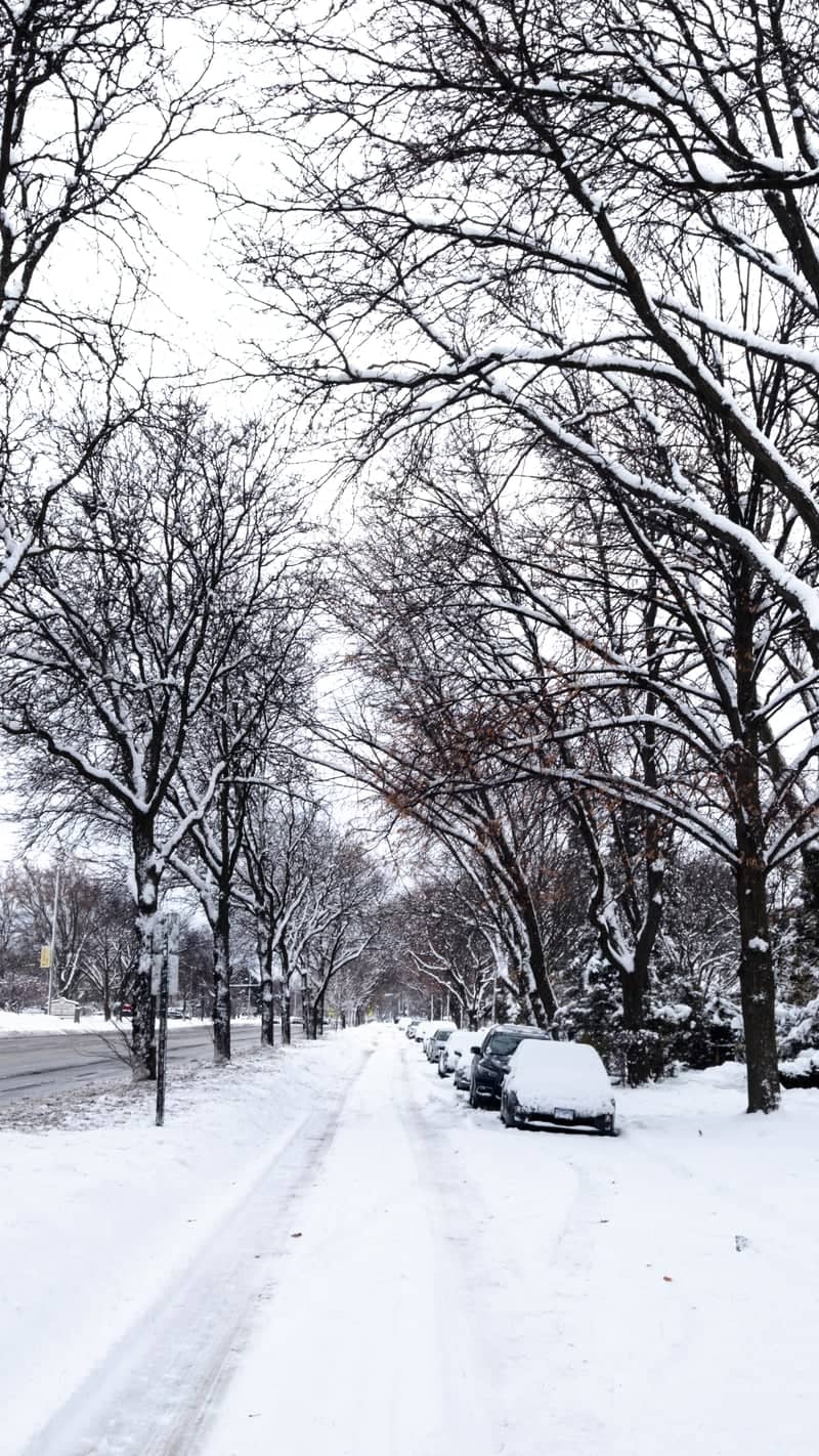 Snow-Covered Evanston Street - Image 1