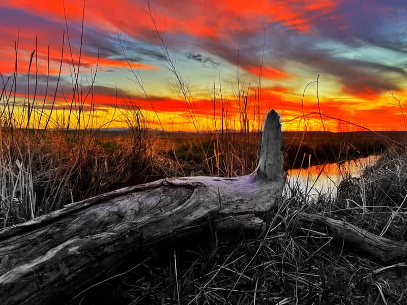 Choteau Wetlands Sunset - Image 1