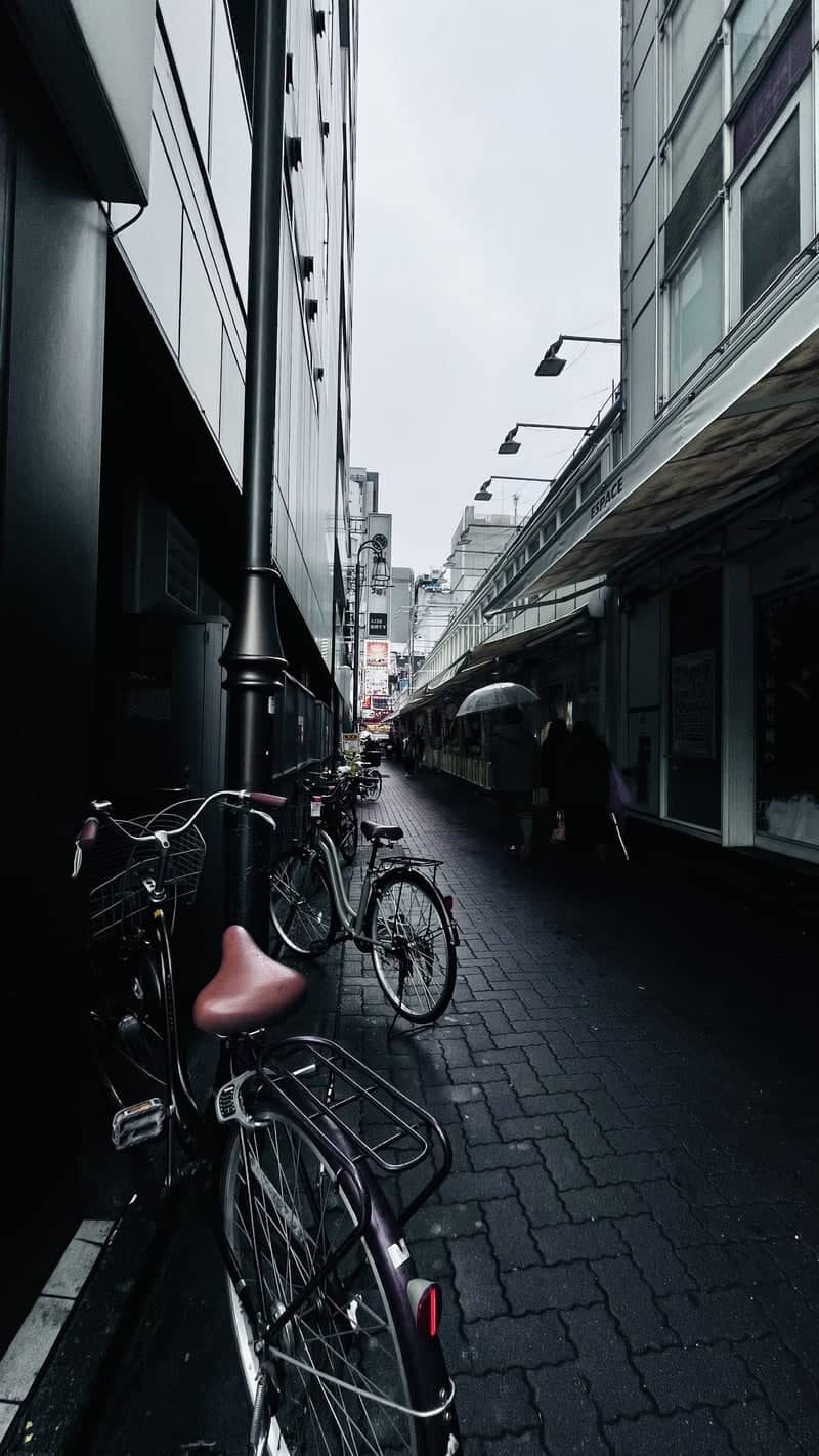 Kabukicho Alleyway - Image 1