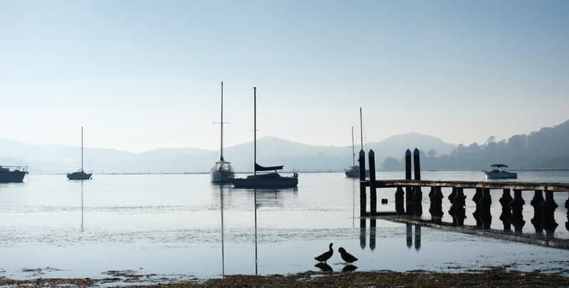 Koolewong Jetty - Image 3