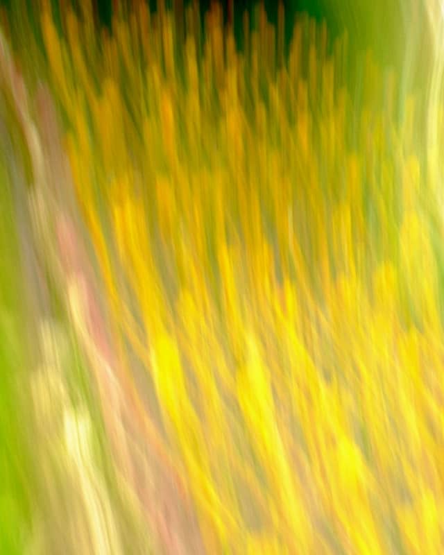 Rockway Gardens - Image 1