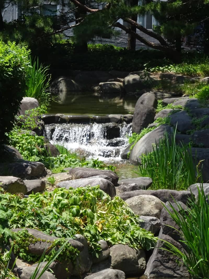 Banyan Tree Seoul Garden Stream - Image 1
