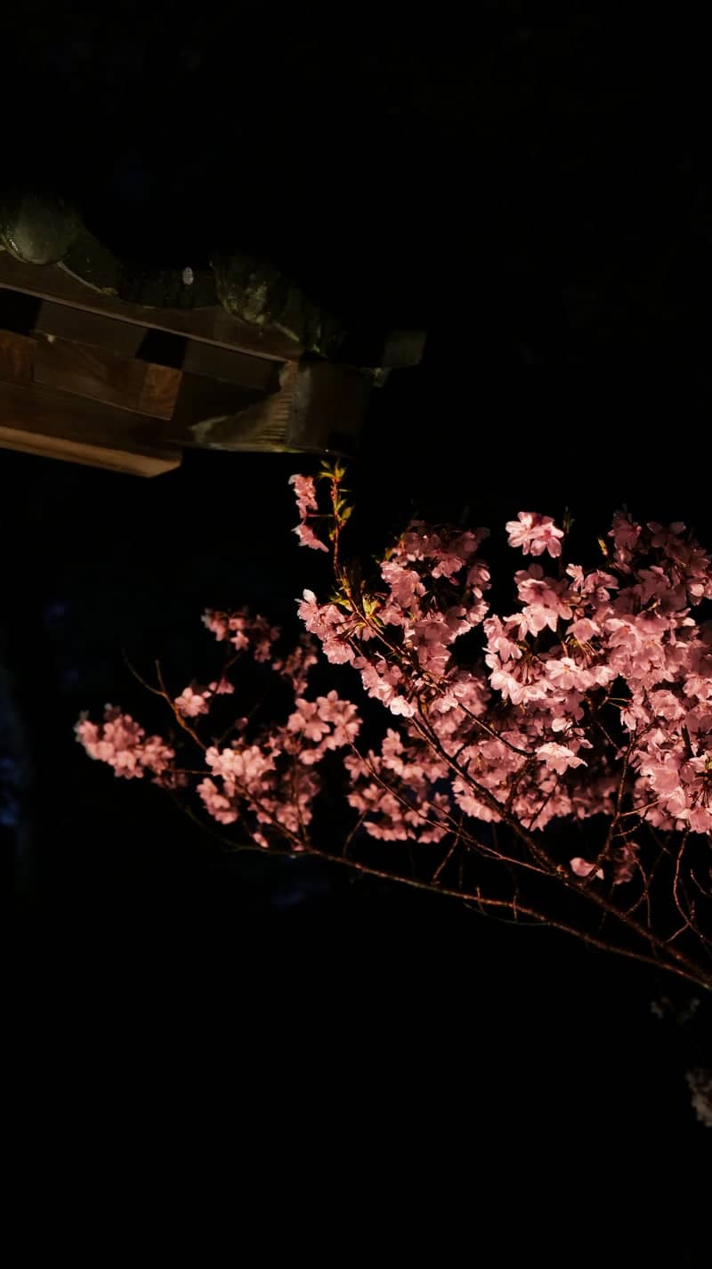 Katsuma Yakushido Temple - Image 1