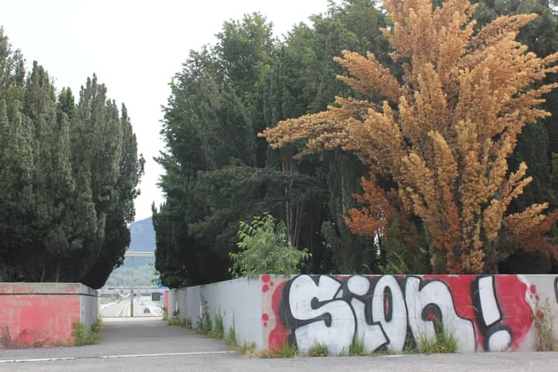Sion Urban Graffiti Overlook - Image 1