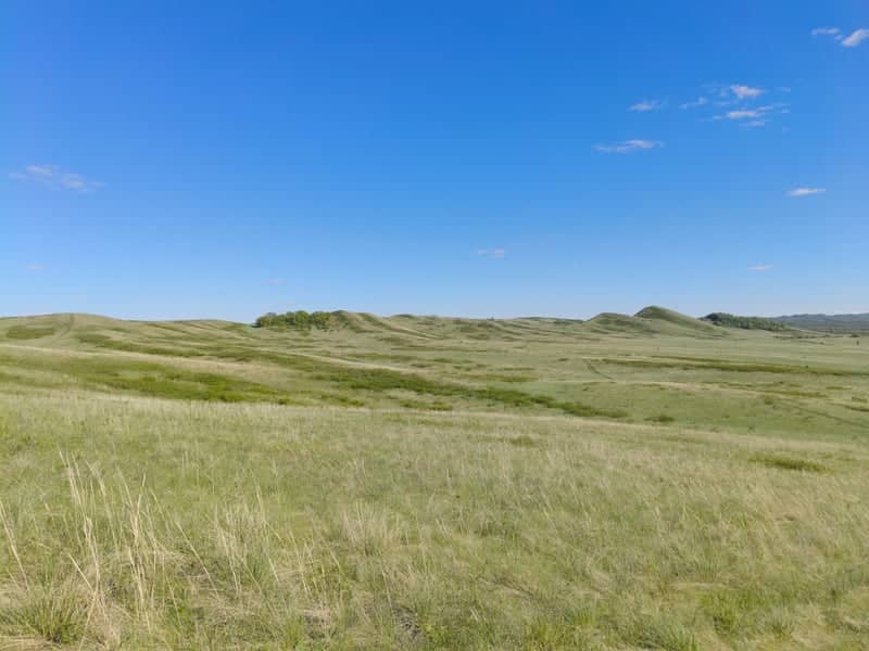 Kinzekeevo Rolling Hills - Image 1