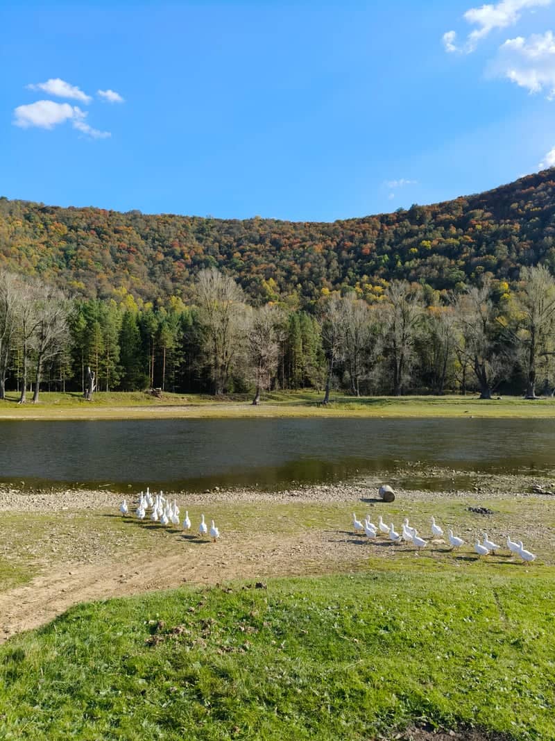 Zilim River at Tash-Asty - Image 1