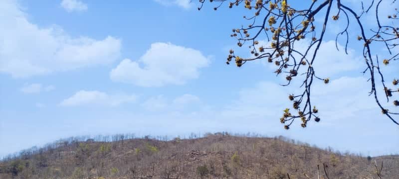 Prantij Hillside - Image 1
