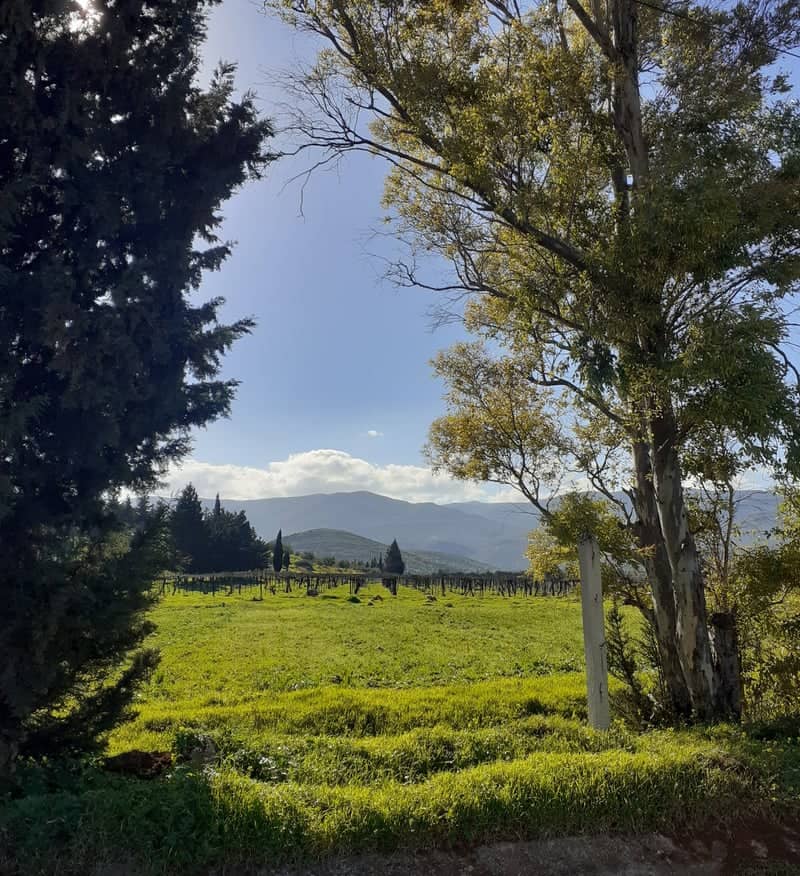 Rural Hama Countryside - Image 1
