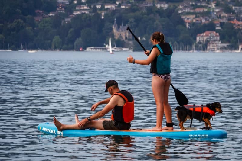 Lake Thun Shoreline at Gwatt - Image 1