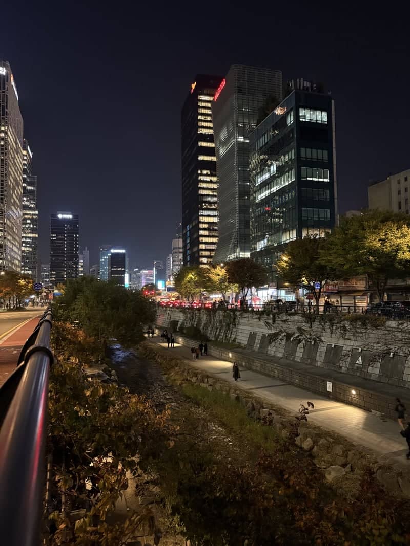 Cheonggyecheon Stream - Image 1