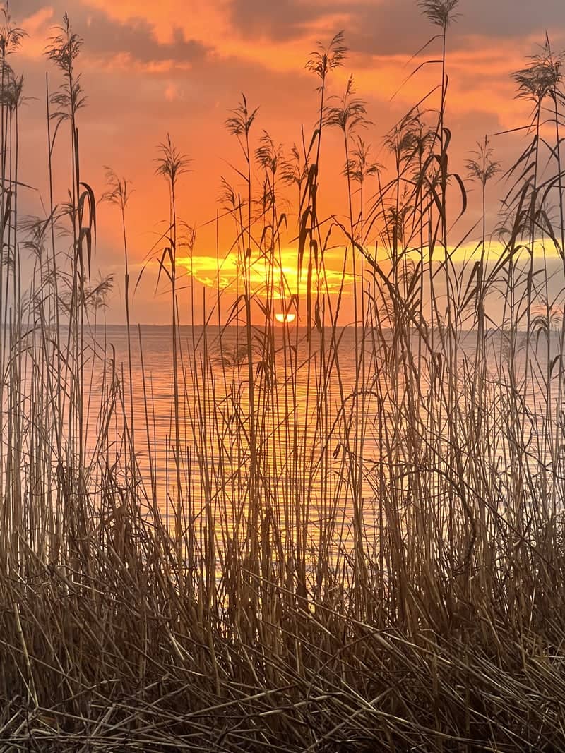 Escambia Bay Overlook - Image 1