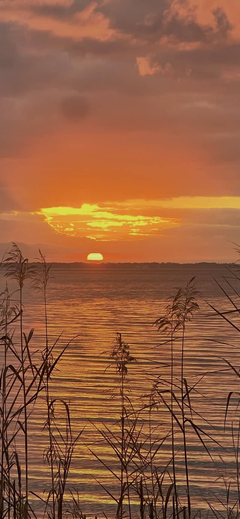 Escambia Bay Overlook - Image 1
