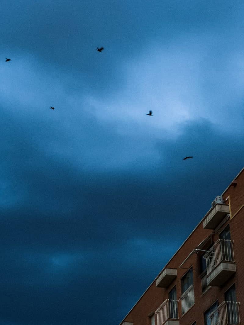Coso Bajo Urban Sky - Image 1