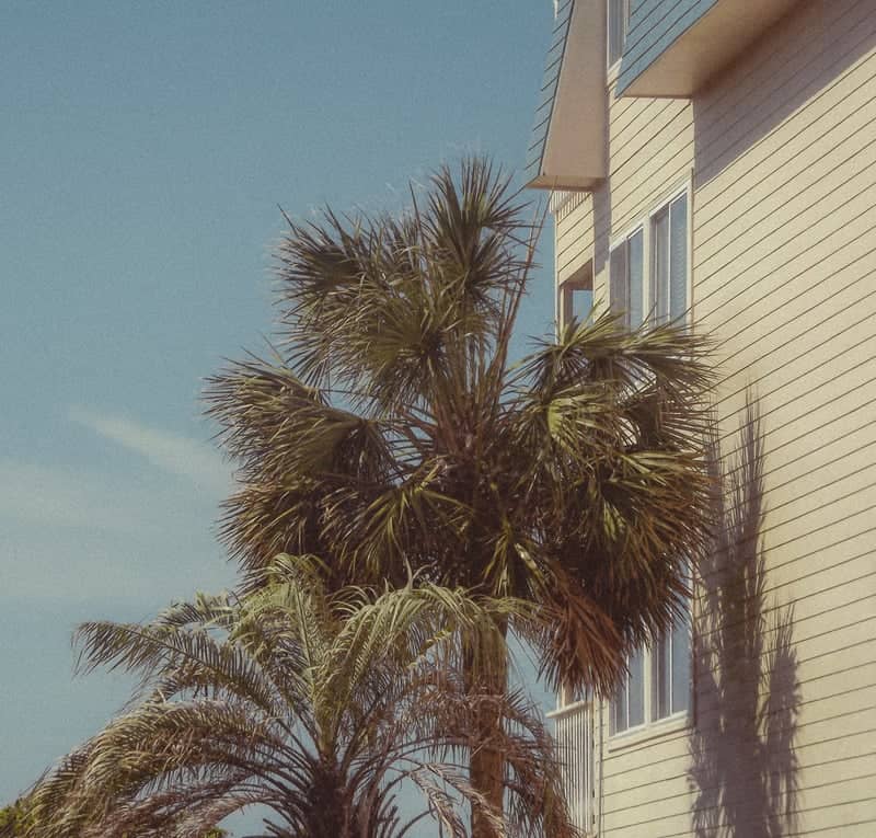 Atlantic Beach Coastal Architecture - Image 1