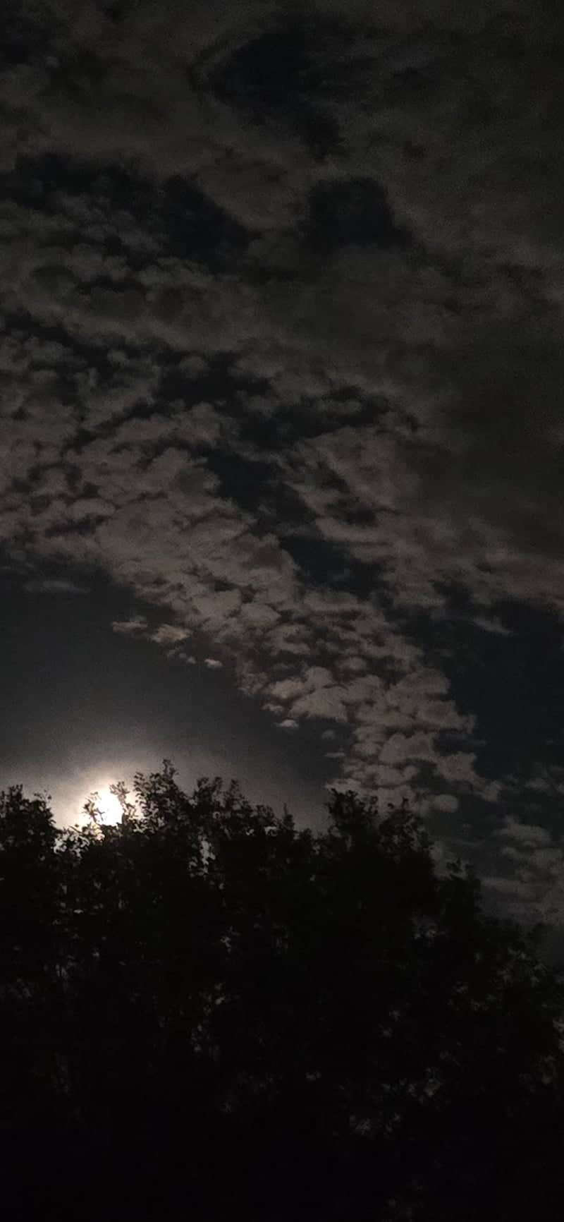 Universal City Night Sky - Image 1
