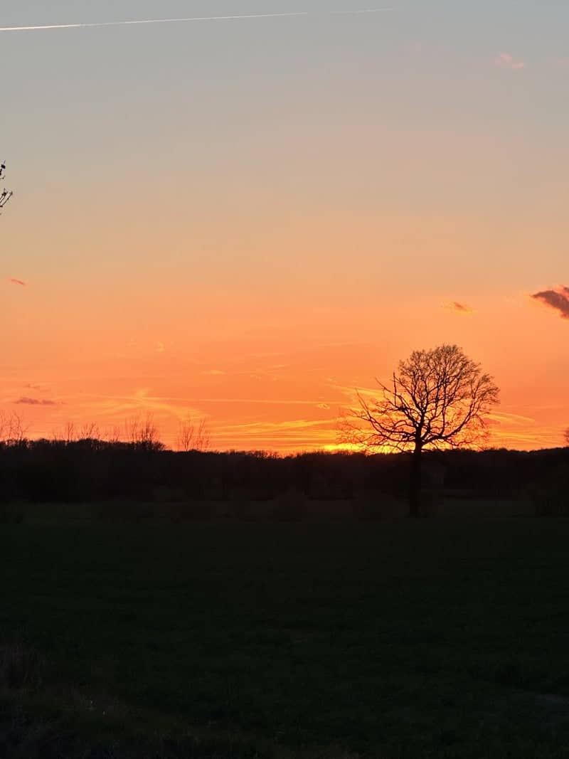 Wichów Countryside Sunset - Image 1