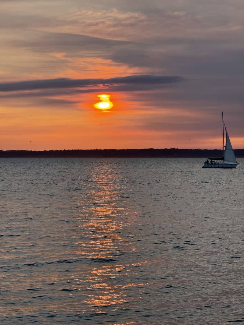 Bellingham Bay Overlook - Image 1