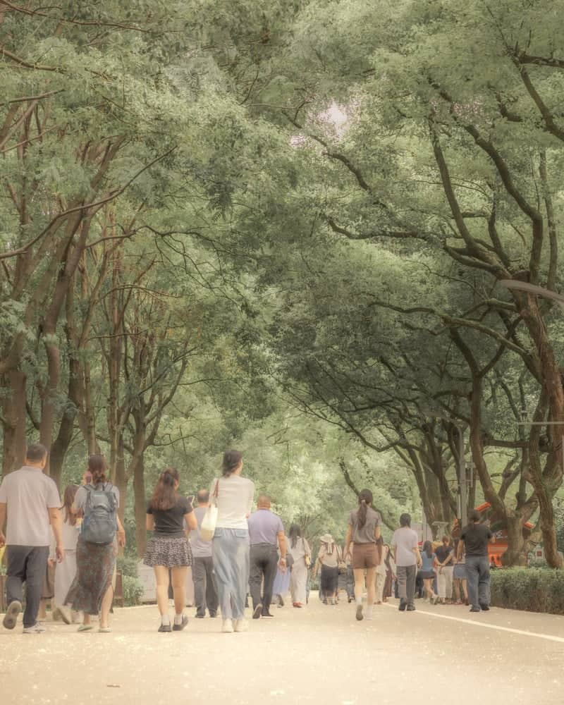 Orange Isle (Juzizhou) Park - Image 1