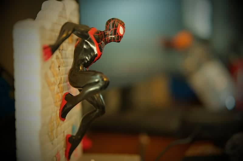 Spider-Man Macro Photography Spot - Image 1