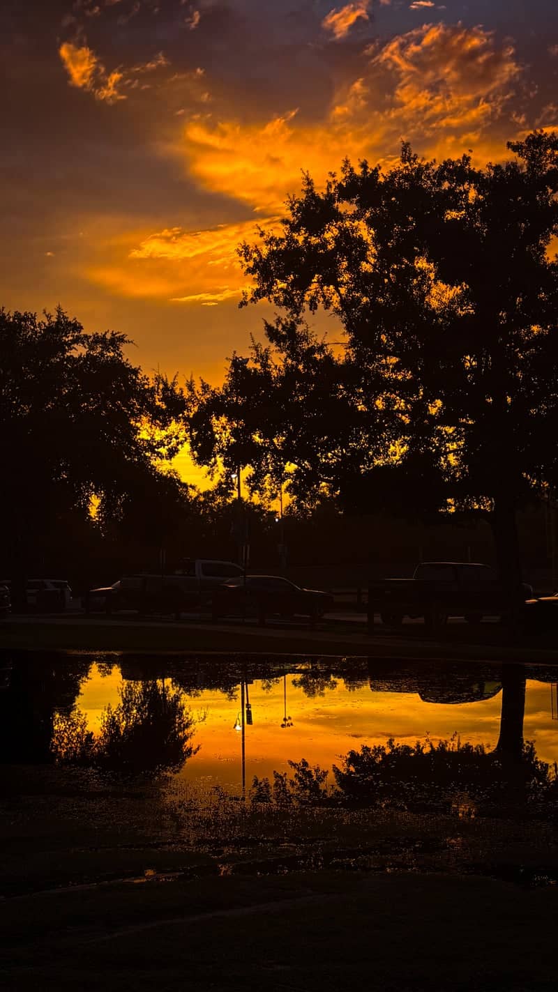 Live Oak Sunset Reflection - Image 1