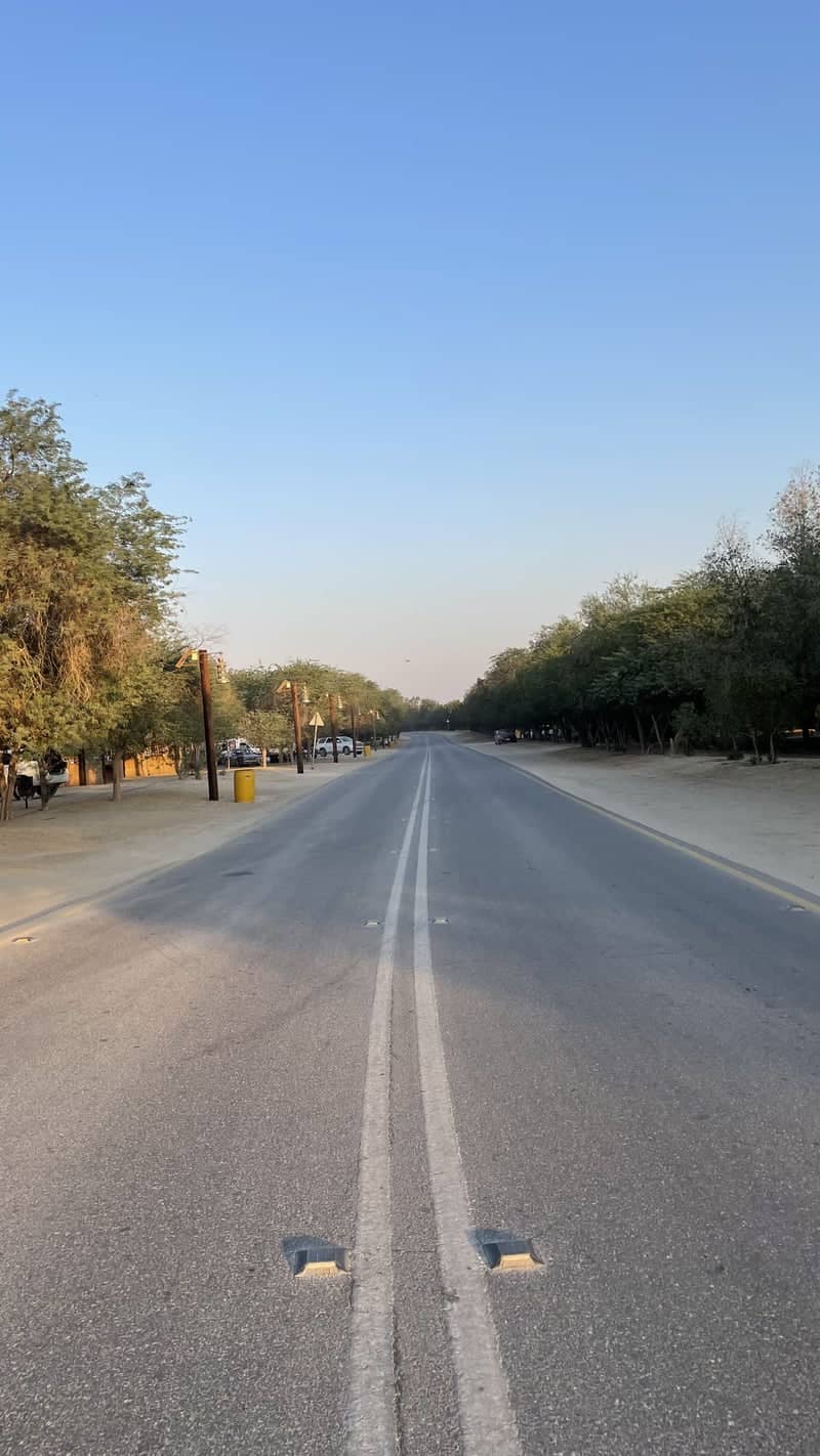 Al Ahsa Oasis Road - Image 1