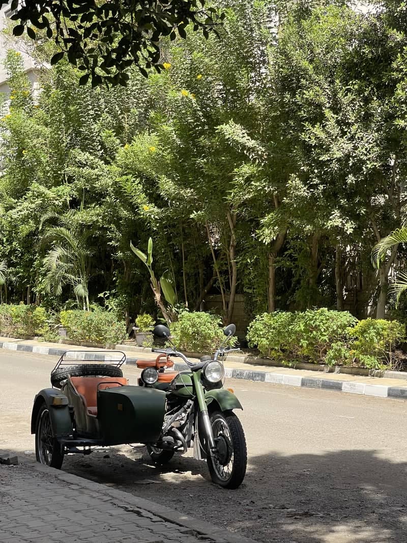 Leafy Streets of Maadi - Image 1