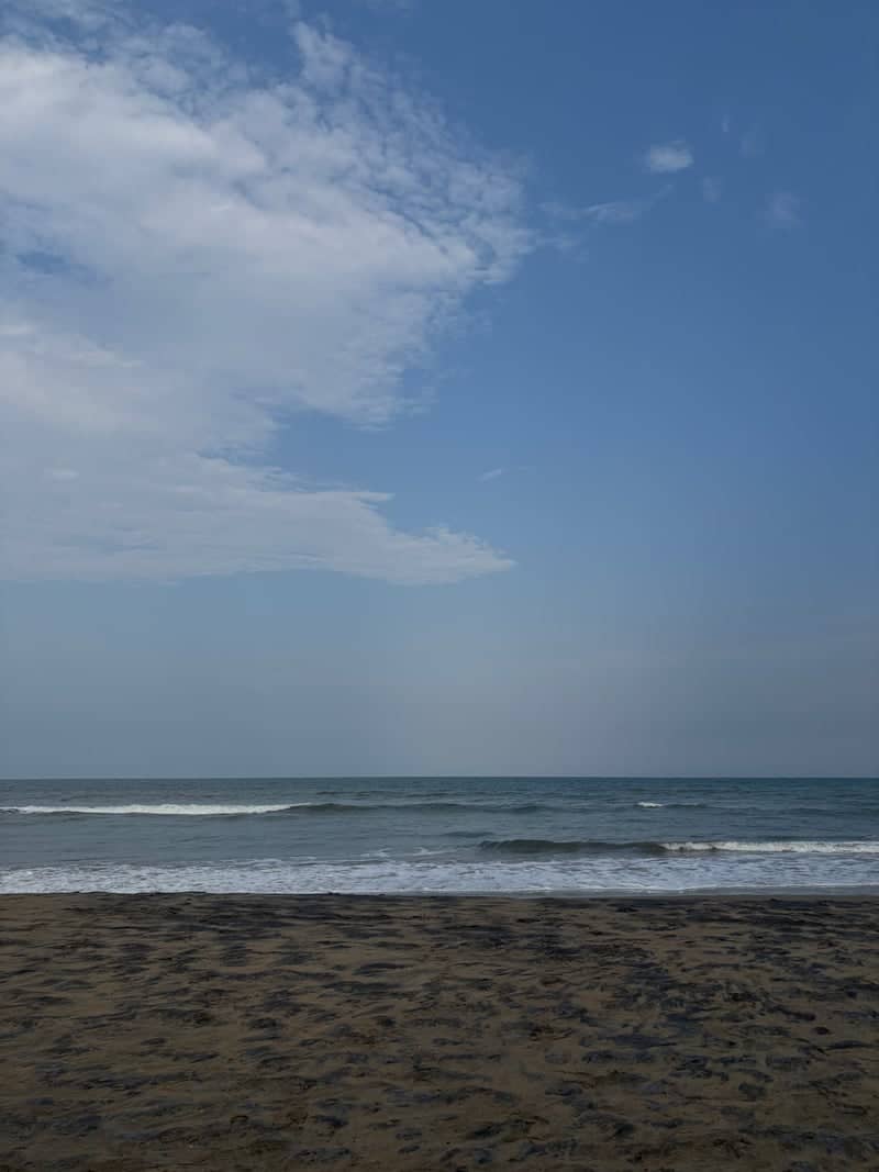 Kovalam Beach (Covelong) - Image 1