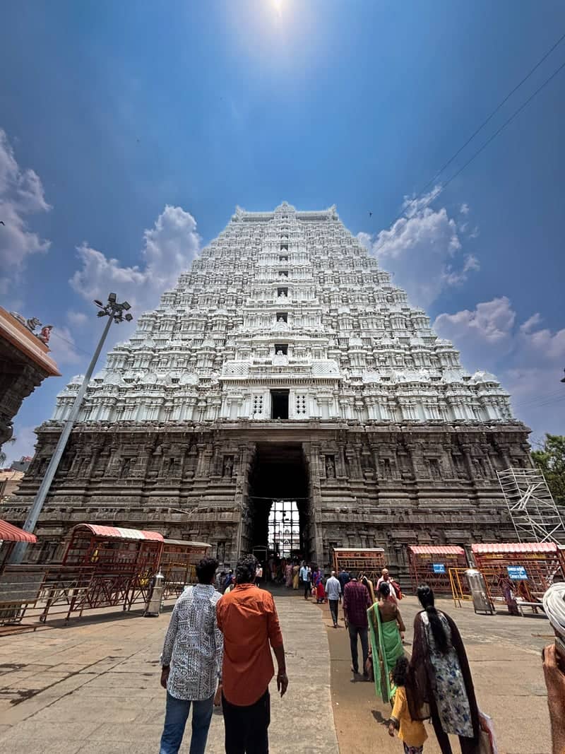 Arulmigu Annamalaiyar Temple - Image 1