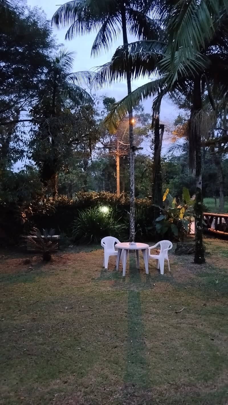 Tropical Garden in Itapema - Image 1