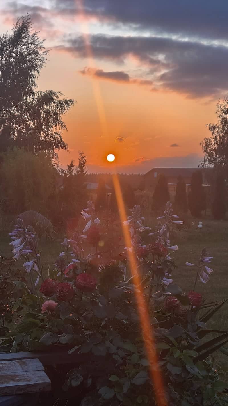 Gryfino Rural Sunset Garden - Image 1