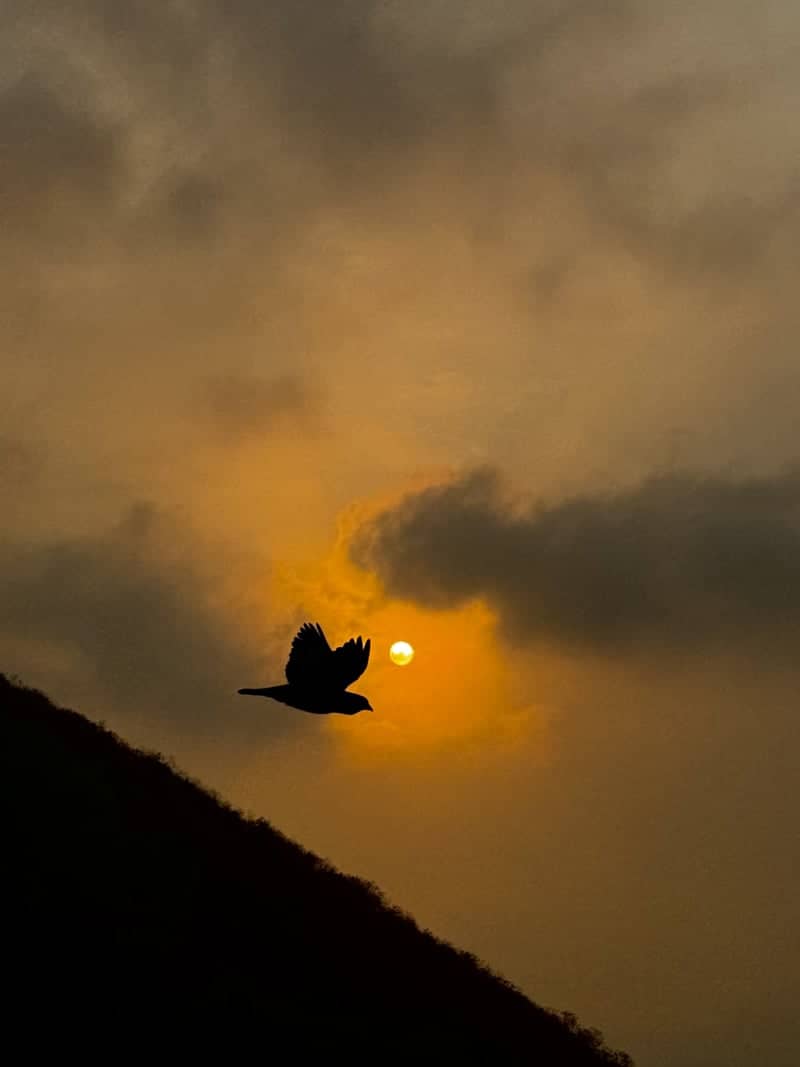 Visakhapatnam Hillside Sunset - Image 1