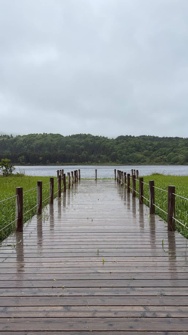 Hime-numa Pond - Image 1