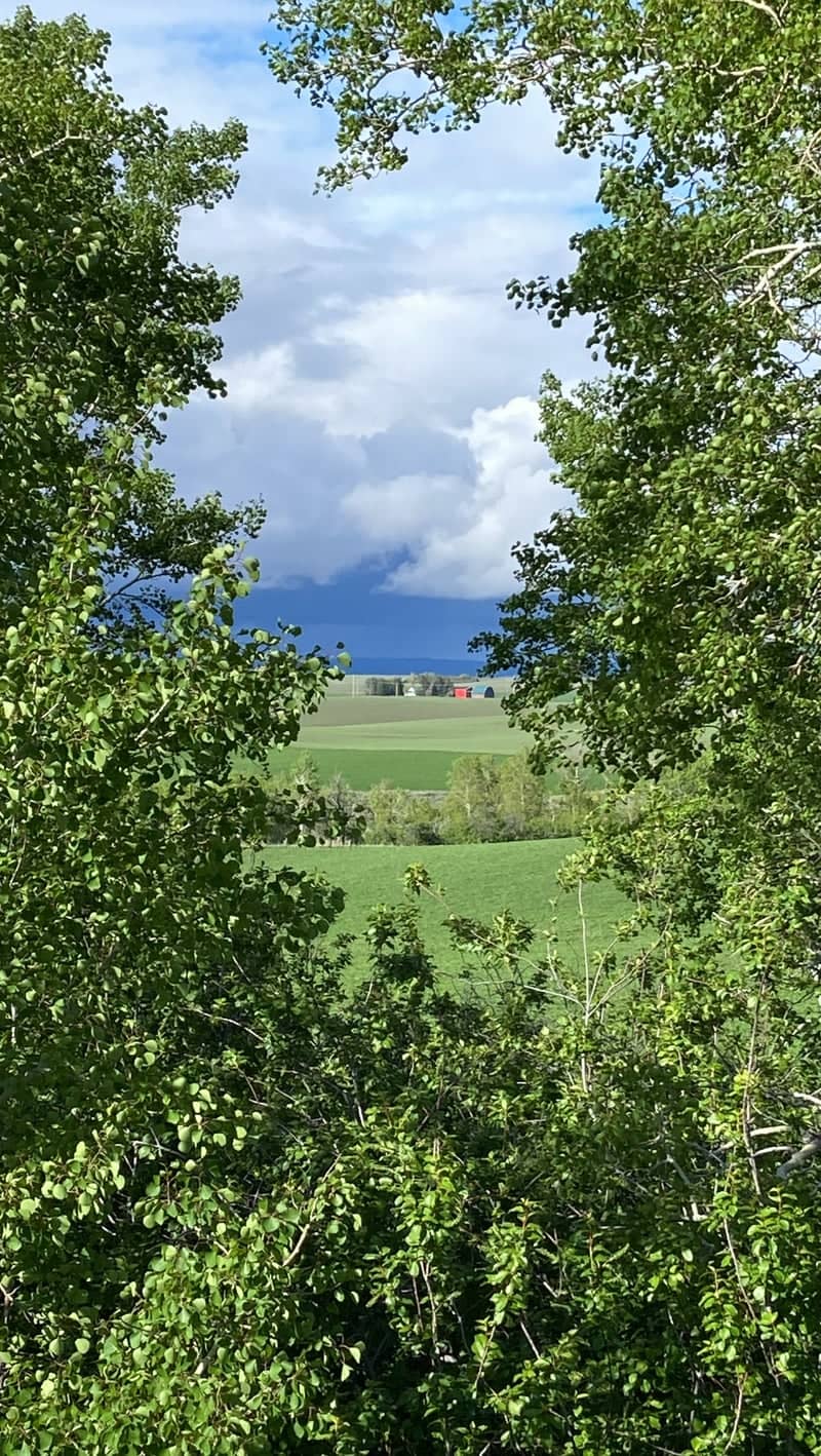 St. Anthony Farmland Overlook - Image 1