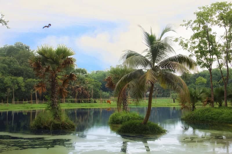 Chandrima Uddan Lake - Image 1