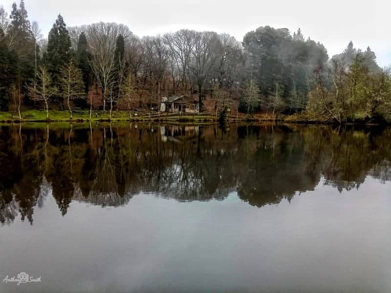 Lago de Castiñeiras - Image 1