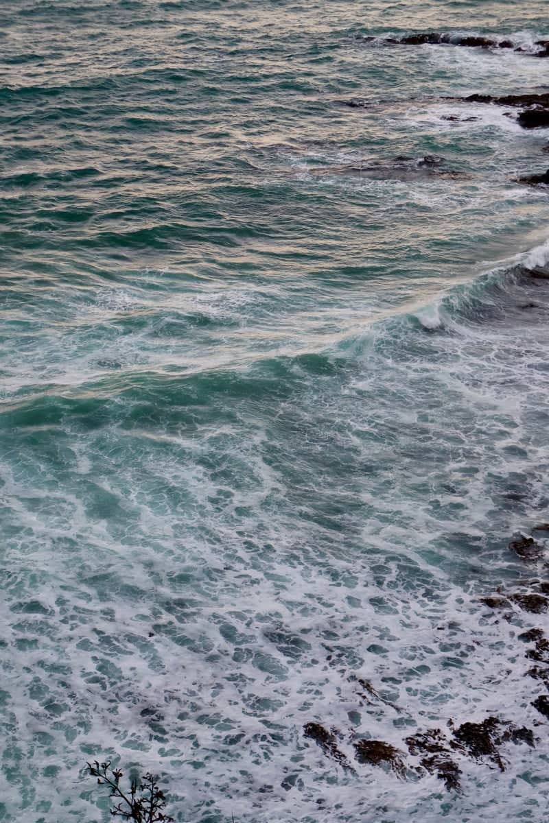 Nugget Point - Image 1